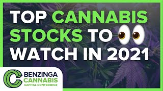 Cannabis Stocks to Buy in 2021  Benzinga Cannabis Capital Conference [upl. by Uel]