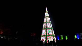 Longleat festival of light christmas tree 08112019 [upl. by Lehctim]