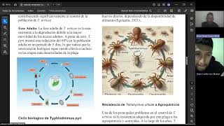 Control biológico de Tetranychus urticae por parte de Typhlodromus pyri en frutales y ornamentales [upl. by Datha342]