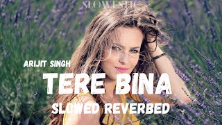 Tere bina  Slowed Reverbed  Arijit Singh  Aakanksha Sharma  1921 Slowestic [upl. by Dnomse387]