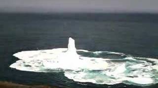 Iceberg collapses off of Signal Hill  North Trail [upl. by Risley]