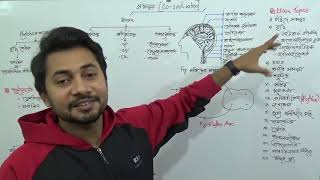 Coordination সমন্বয়  SSC Biology Chapter 10  Fahad Sir [upl. by Adneral]