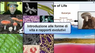 Forme di vita e rapporti evolutivi Bacteria Archaea Eukarya filogenesi origini ed endosimbiosi [upl. by Flori]