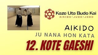 Aikido Ju Nana Hon Kata  12 Kote Gaeshi [upl. by Mitzi]