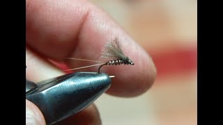 FLY TYINGTHE PHEASANT TAIL PT CROSSOVERTHE DEADLIEST FLIES [upl. by Akisey]