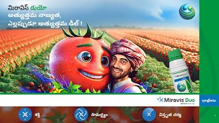 Syngenta  Miravis Duo  Tomato  Motion Poster  Telugu [upl. by Salvidor]