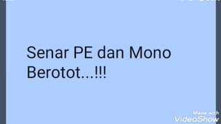 Real Test senar PE Berkley Nanofil PE Meredith amp Mono trilene big game Ternyata Berotot semua [upl. by Adnohr]