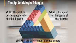 What is Epidemiology [upl. by Margeaux499]