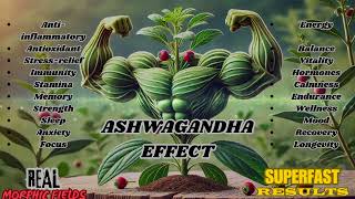 Ashwagandha EffectMorphic Field [upl. by Pazice]