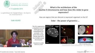 Conférence  E HEARD  La génétique de l’épigénétique  les leçons du chromosome X [upl. by Htebsil]