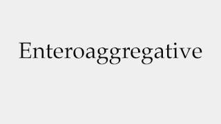 How to Pronounce Enteroaggregative [upl. by Luba651]