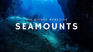 The Hidden World of Seamounts [upl. by Harriot]