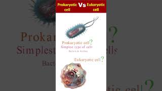 Prokaryotic and Eukaryotic Cells shorts Youtubeshorts ProkaryoticVsEukaryotic [upl. by Jereme]