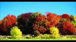 Automne au quebec  Yves Forgues photo [upl. by Tnaryb]