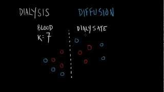 Dialysis Basics [upl. by Norbie231]