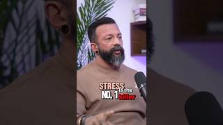 How Stress is Destroying Testosterone Levels [upl. by Katha731]