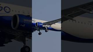 How Indigo Became Indias 1 Airline ✈️ [upl. by Tihom842]