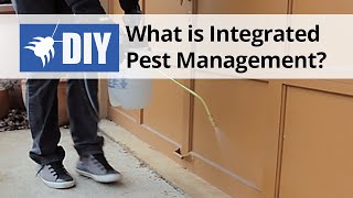 Integrated Pest Management IPM [upl. by Aynotel]