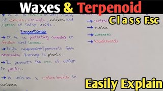 Waxes And Terpenoid Structure Functions  Class 11 UrduHindi [upl. by Hutton480]