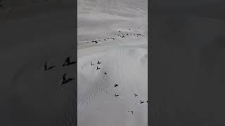 Lancelin sand dunes [upl. by Nitin]