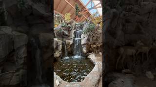 Cabela’s ❤️☀️cabelas bassproshop asmr [upl. by Nnairda]