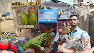 All pets in one Home 🏠Anas mumbai viral [upl. by Geibel]