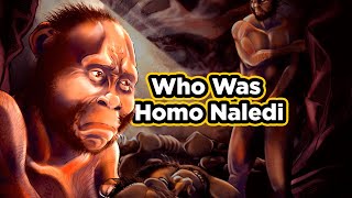 what does the discovery of homo naledi tell us about evolution [upl. by Proudlove234]