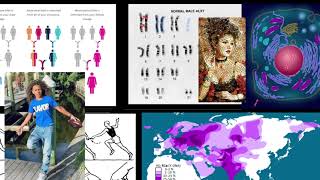 Haplogroups vs Haplotypes [upl. by Eryt]