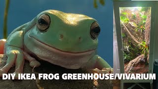 DIY IKEA GreenhouseVivarium for Whites Tree Frogs [upl. by Eiltan]