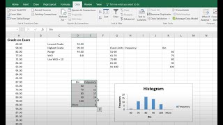 Frequency Distribution and Histogram for Quantitative Data in Excel [upl. by Areic]