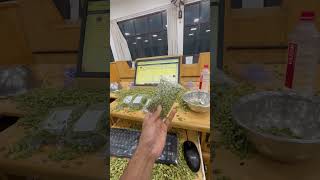 ‼️Cardamom auction…………………… cardamom entrepreneur bussiness youtubeshorts spices auction [upl. by Nrobyalc294]