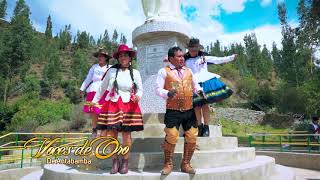 VOCES DE ORO DE ANTABAMBA ► MALVACINA ☆ Huaylia 2019 Vídeo Oficial ☆ ☛ PAREDES Producciones [upl. by Neve253]