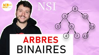 ARBRES BINAIRES  Terminale NSI [upl. by Ahsirat]