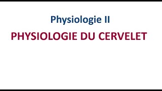 Neurophysiologie  Physiologie du Cervelet FMPC [upl. by Betz]