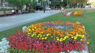 Refreshing at Odori Park in Sapporo [upl. by Nrobyalc]