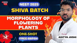 Morphology of Flowering Plants  OneShot  SHIVA BATCH  NEET2025  ADITYA JOSHI neet2025 mbbs [upl. by Hewes]