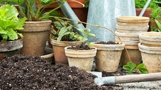 How to Plant in Pots [upl. by Marlow]