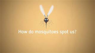 Parakito  How mosquitoes spot us [upl. by Raynard]