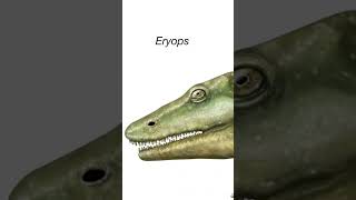 Giant Amphibians Are Changing Everything [upl. by Iadrahs]