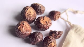 How to use Soap Nuts  Natural Laundry Care Cleaner Shampoo Shaving Cream [upl. by Eerual]