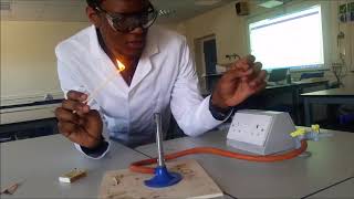 How to Use a Bunsen Burner [upl. by Eanahs]