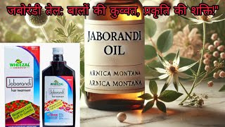 Jaborandi Hair Oil ॥ Wheezal Jaborandi तेल के फ़ायदे और इस्तेमाल करने का सही तरीका ॥ [upl. by Kayne]