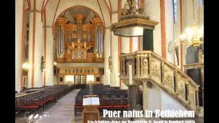 Heinrich Scheidemann  Magnificat VI Toni [upl. by Enyrehtac100]