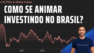 Como se manter animado INVESTINDO no BRASIL 💩 [upl. by Lehcear]