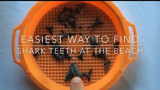 Easy Way to Find SHARK TEETH at the Beach [upl. by Abla]