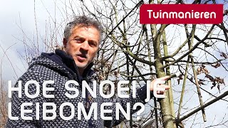 De leiboom snoeien in de winter hoe doe je dat  Snoeien  Tuinmanieren [upl. by Rehportsirhc]