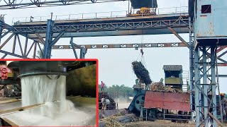 How To Manufacturing Sugar From Sugarcane In Sugar Mill With All Process 2021 [upl. by Nobell498]