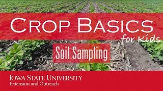 Crops for Kids Soil Sampling [upl. by Gnep]