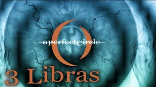 3 Libras  A Perfect Circle Lyrics [upl. by Rillings]