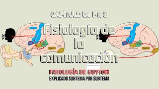 CAP 58 35 Fisiología de la comunicación [upl. by Ahsenrac]